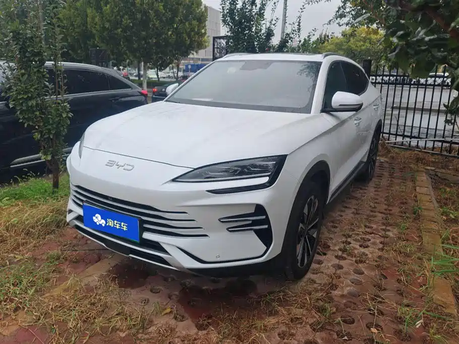 BYD PLUS New Energy 2025