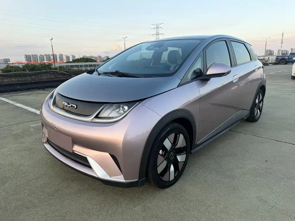 BYD Dolphin 2021
