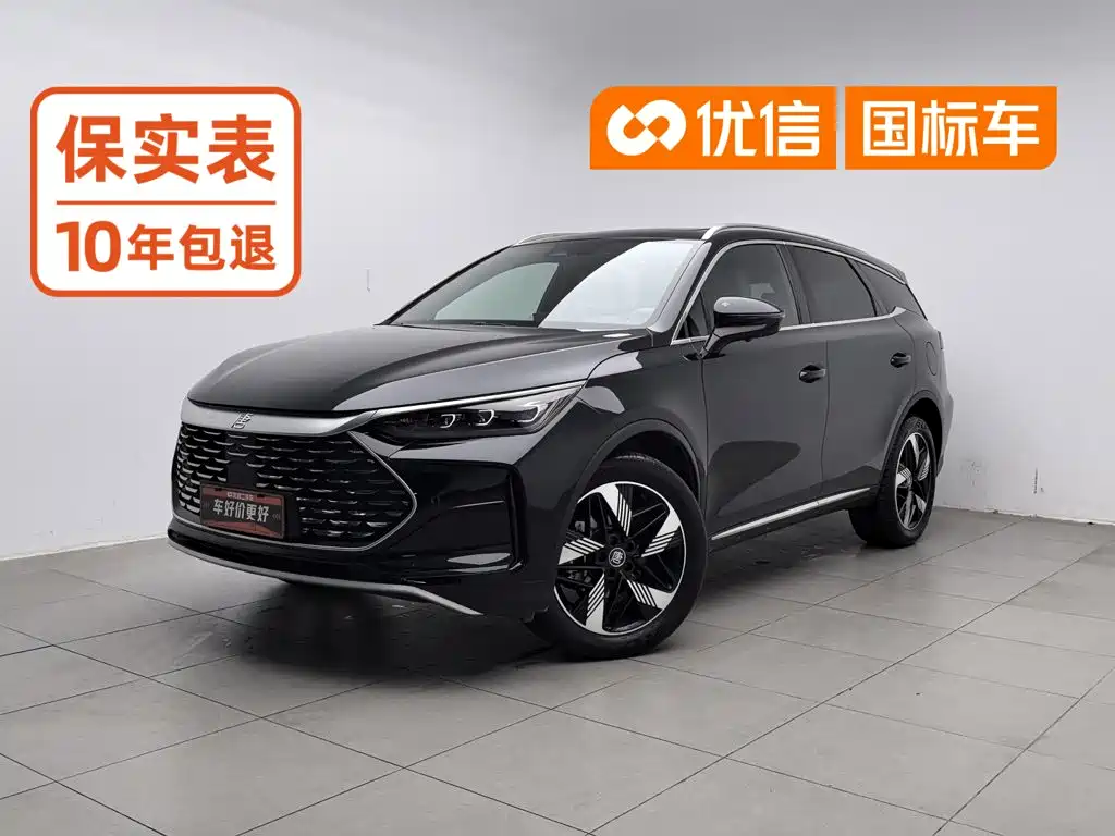 BYD Tang New Energy 2024