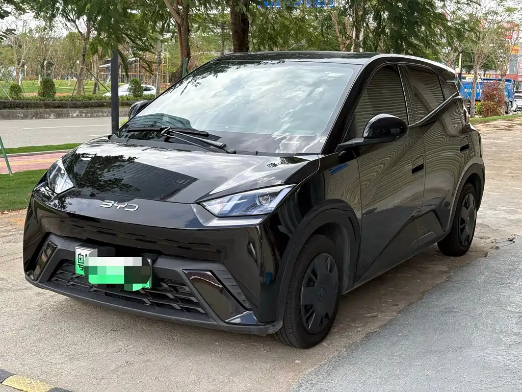 BYD Seagull 2025