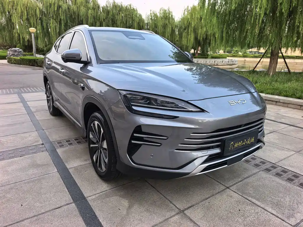 BYD PLUS New Energy 2025