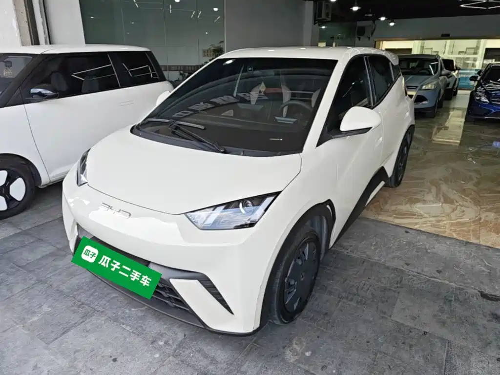 BYD Seagull 2024