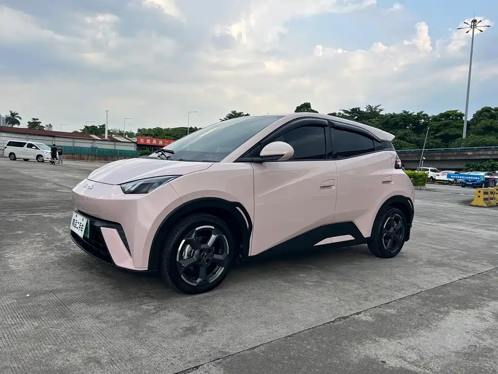 BYD Seagull 2024