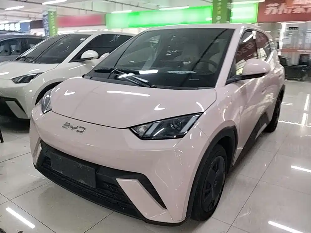 BYD Seagull 2024