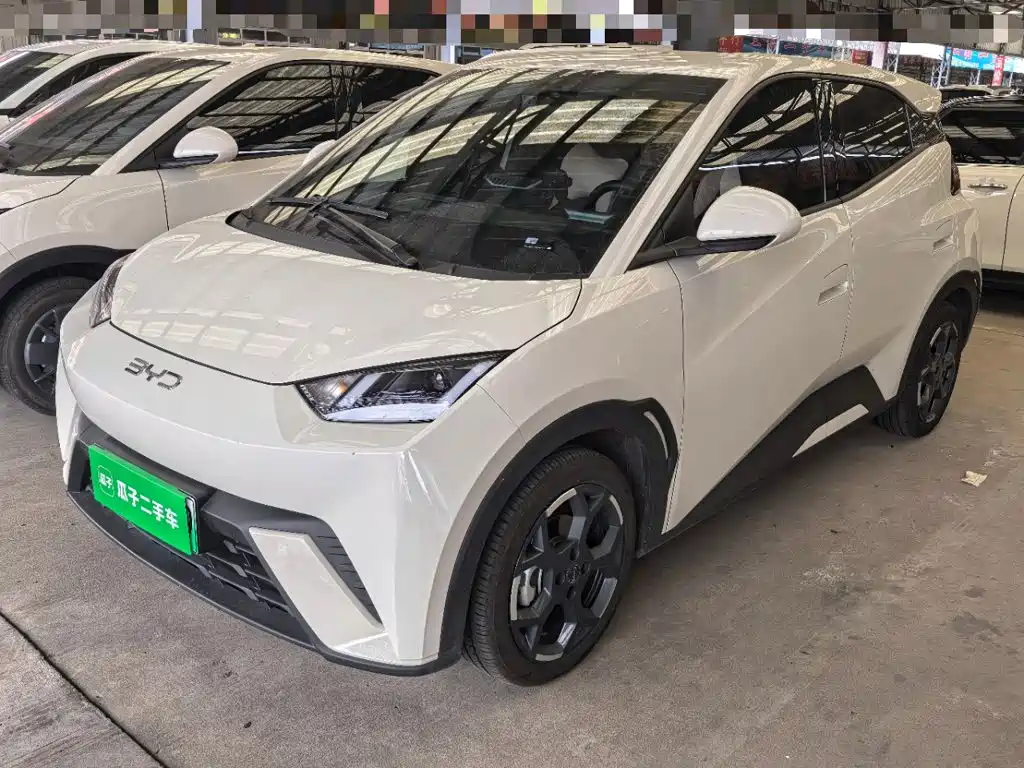 BYD Seagull 2024
