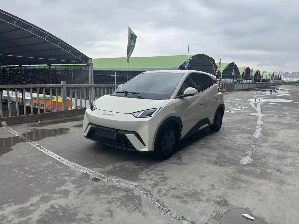 BYD Seagull 2024