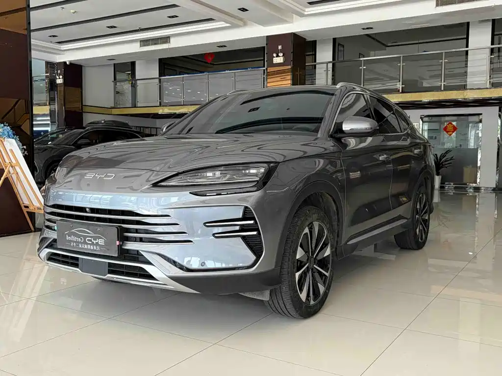 BYD PLUS New Energy 2025