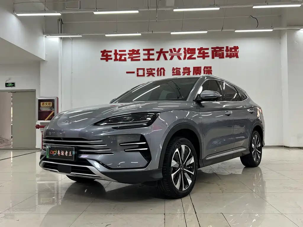 BYD PLUS New Energy 2025