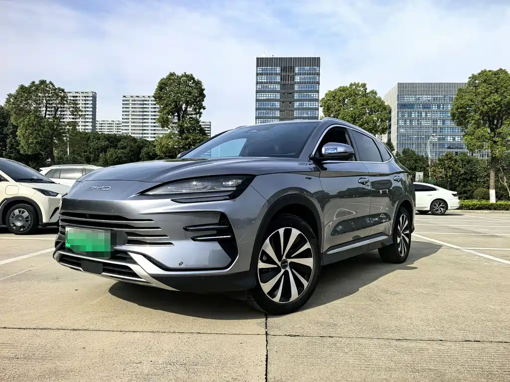 BYD PLUS New Energy 2024