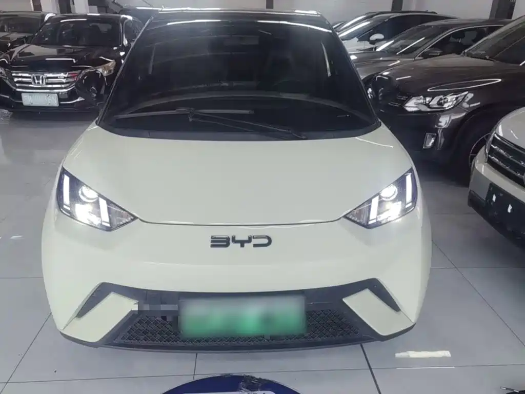 BYD Seagull 2024