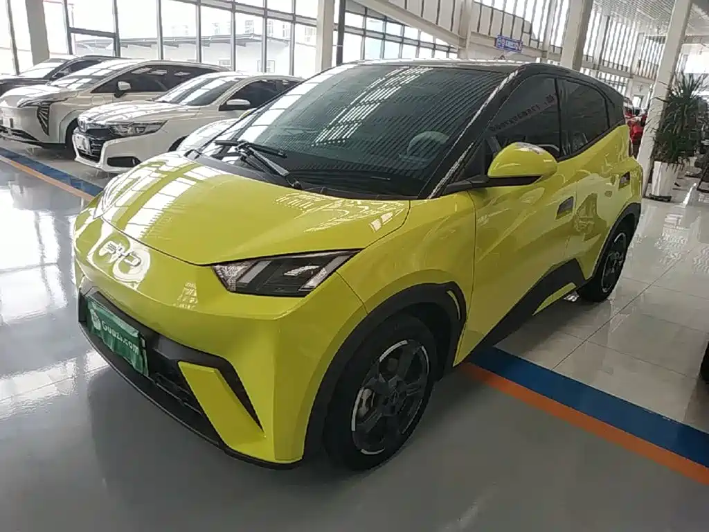 BYD Seagull 2024