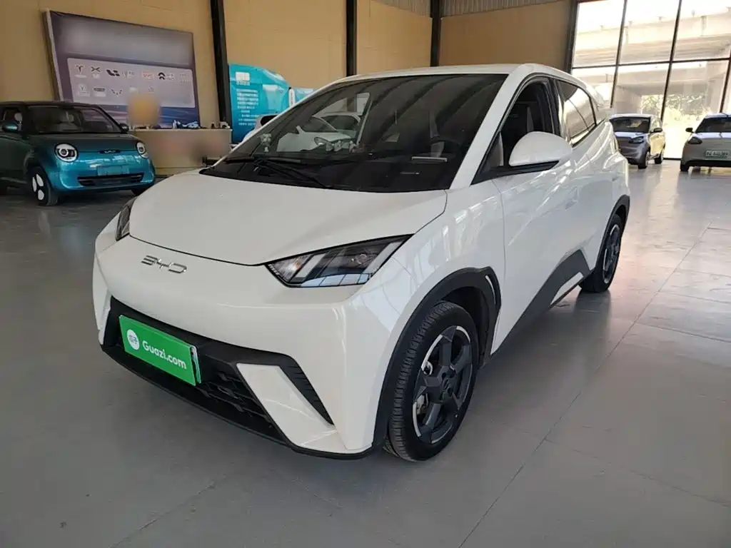 BYD Seagull 2024