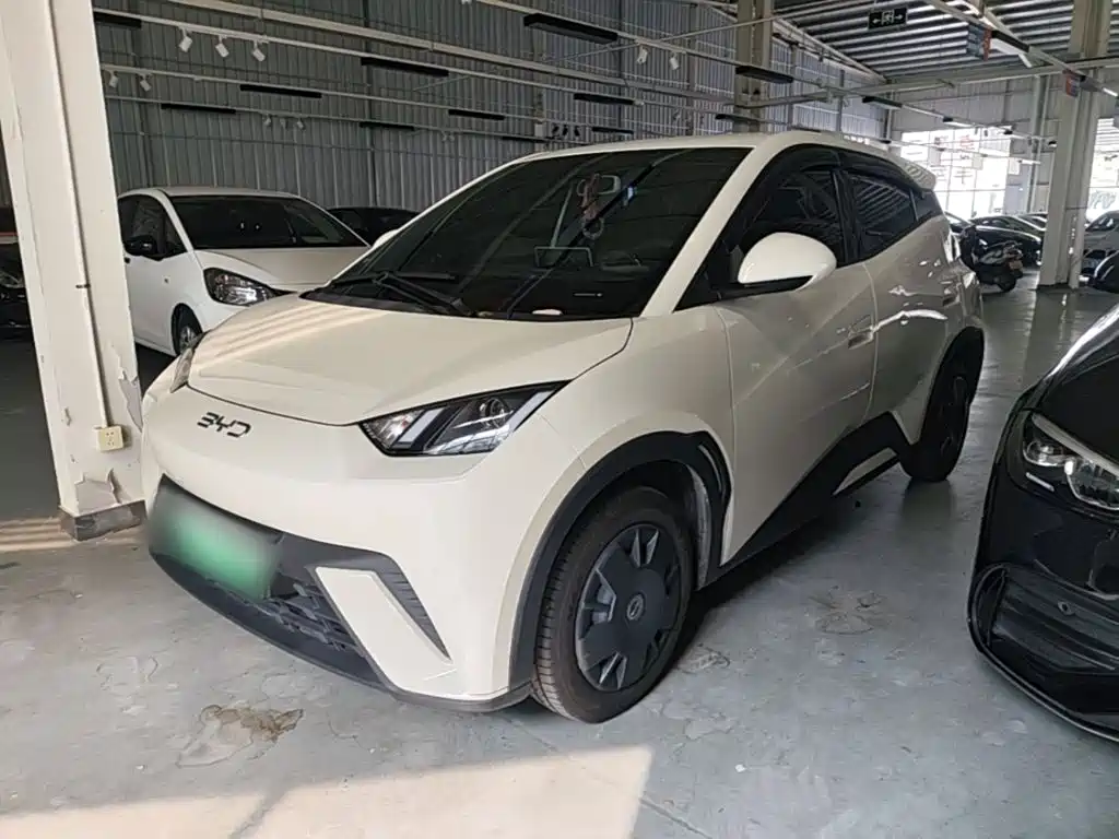 BYD Seagull 2024