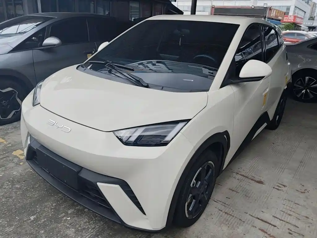 BYD Seagull 2024