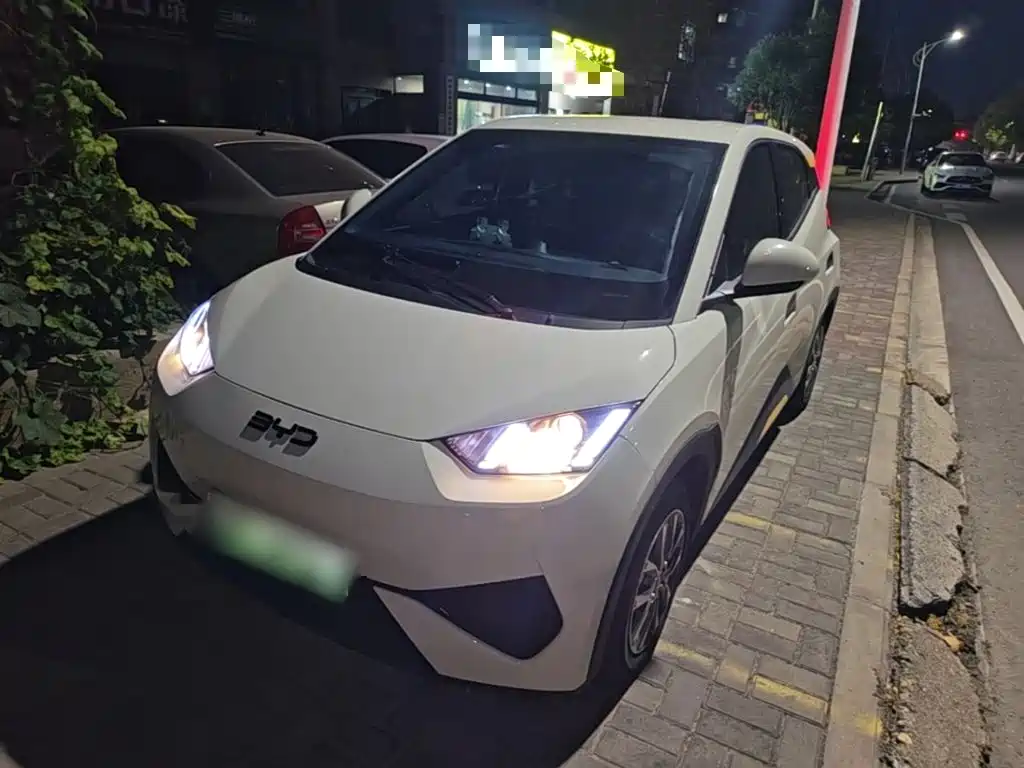 BYD Seagull 2025
