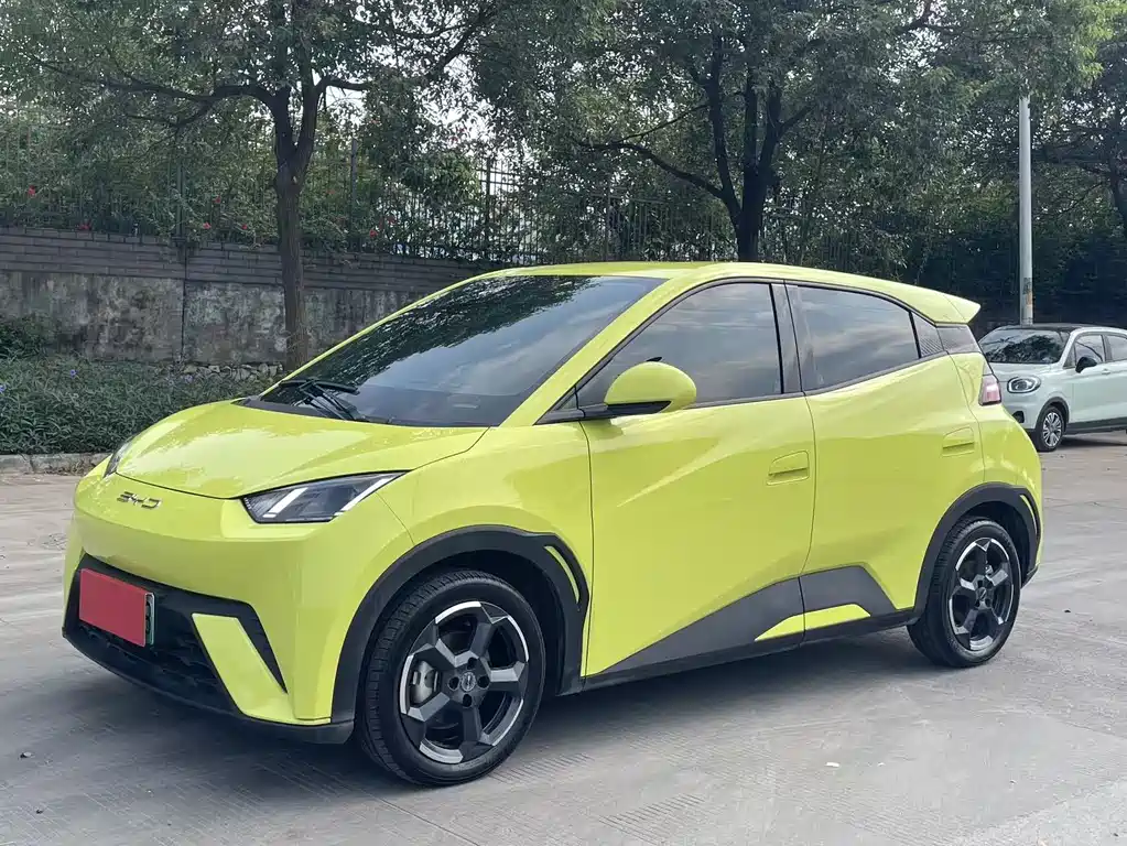 BYD Seagull 2024