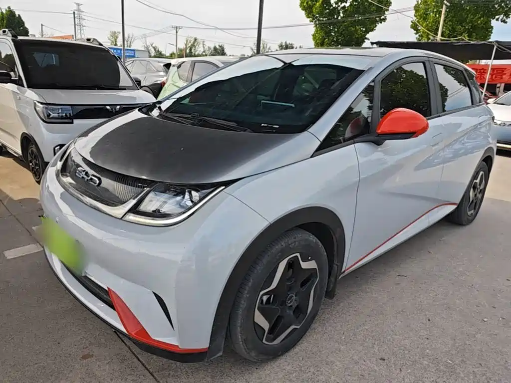 BYD Dolphin 2022