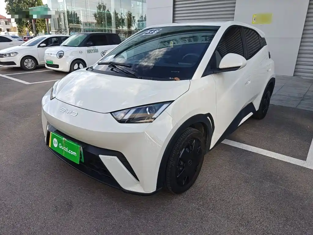 BYD Seagull 2024