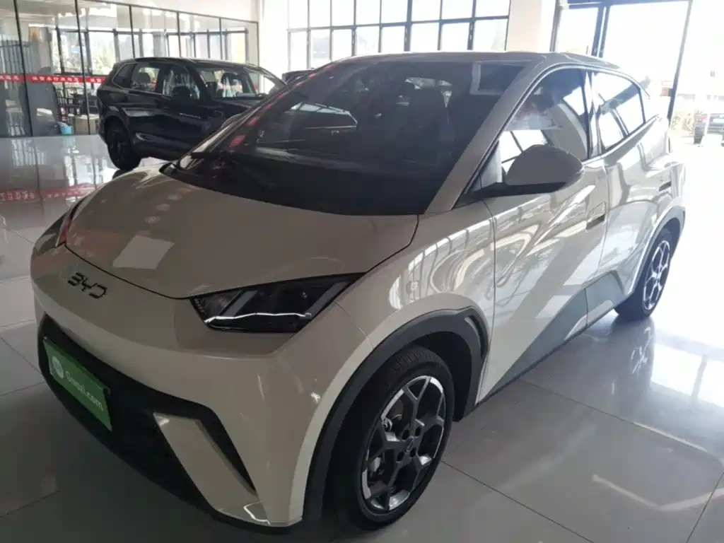 BYD Seagull 2025