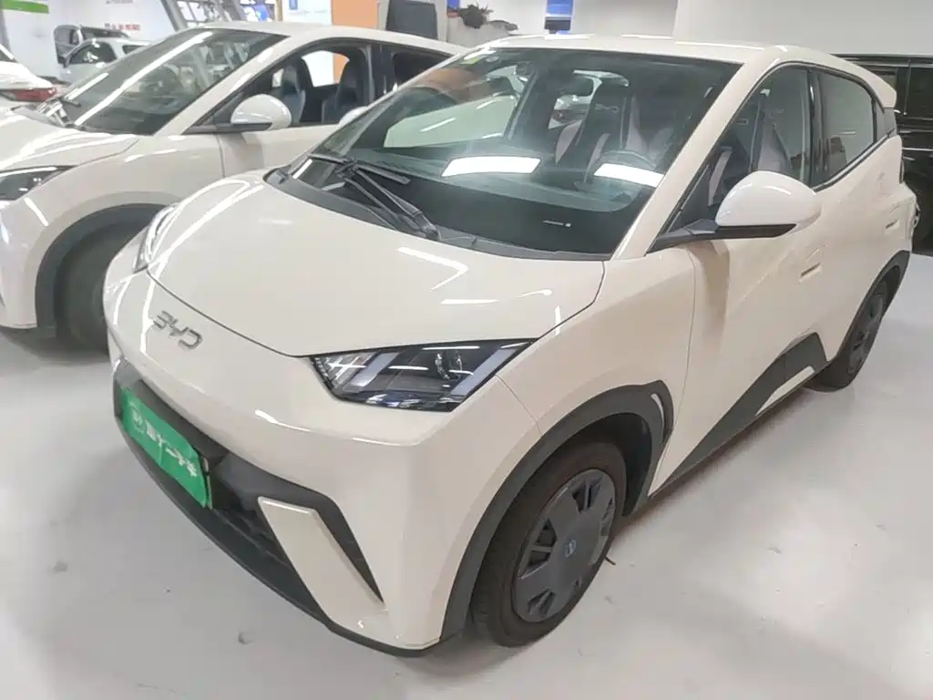 BYD Seagull 2025