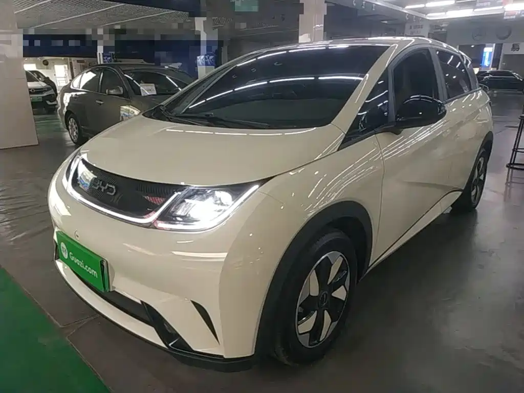 BYD Dolphin 2025