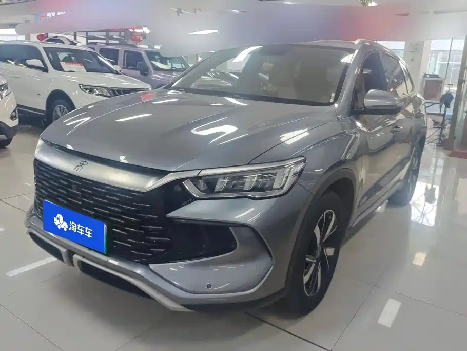 BYD Pro New Energy 2024