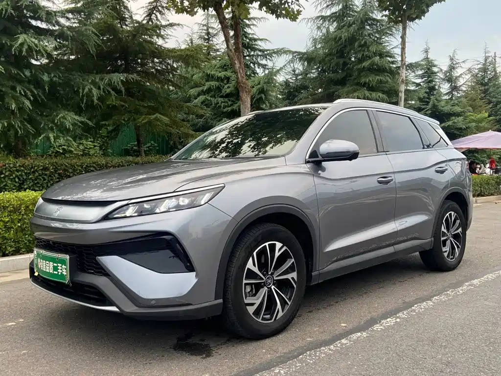 BYD Pro New Energy 2024