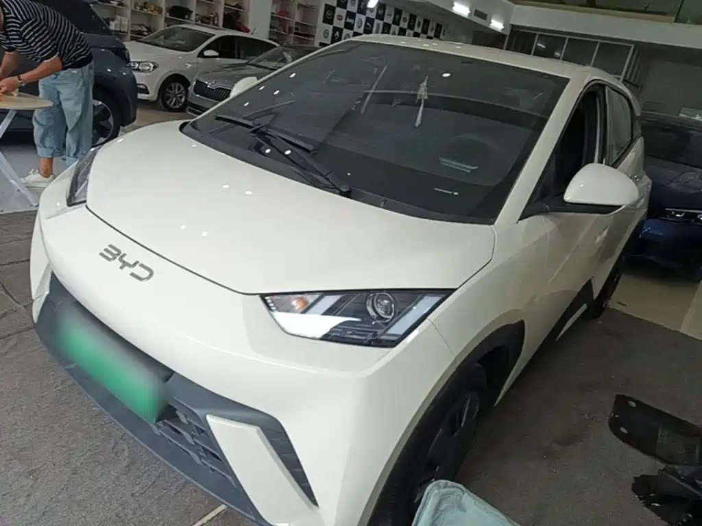 BYD Seagull 2024