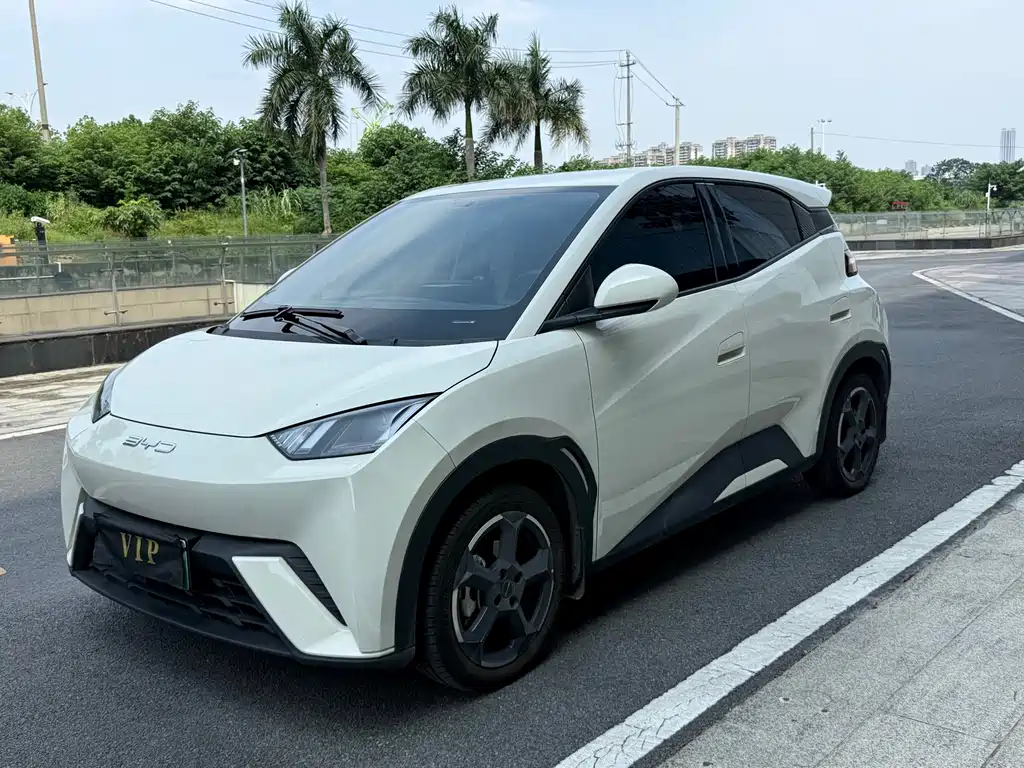 BYD Seagull 2023