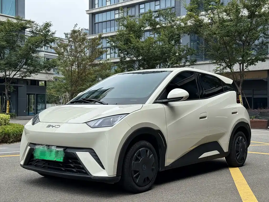 BYD Seagull 2024