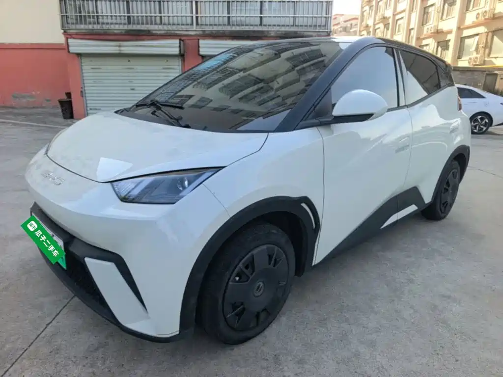 BYD Seagull 2024