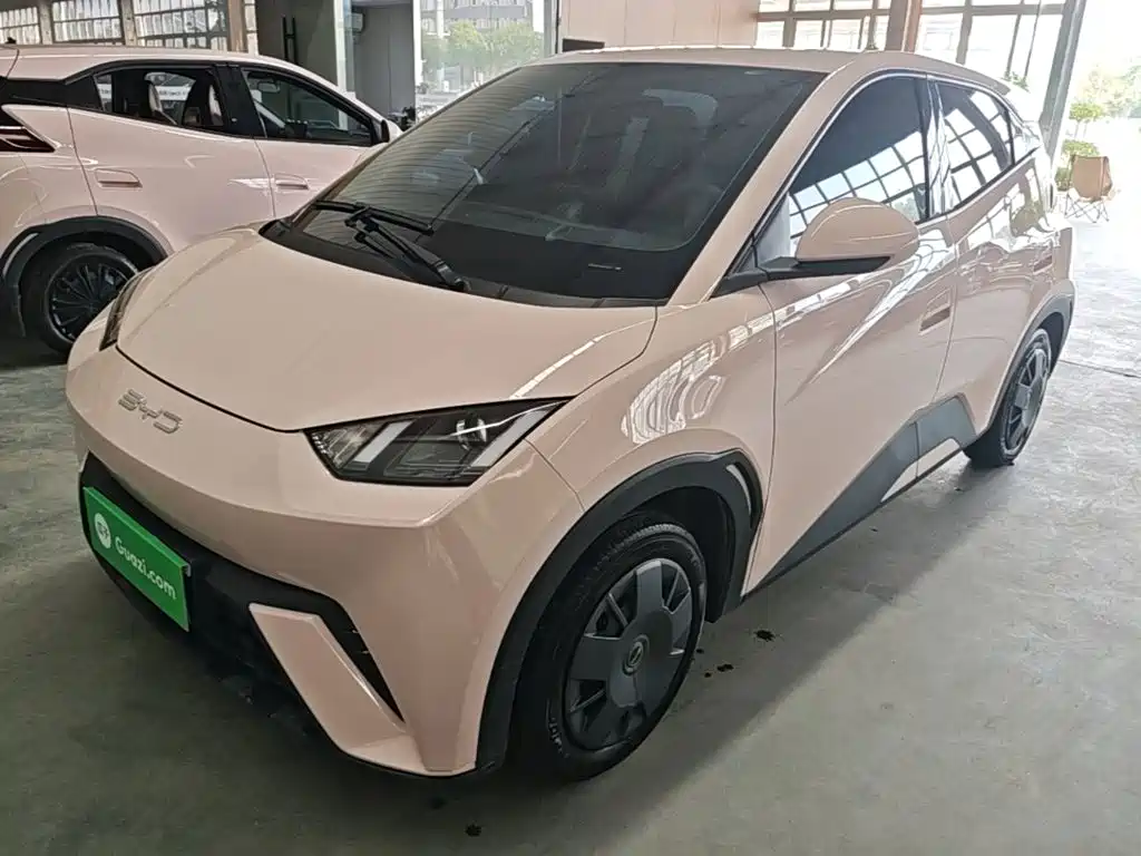 BYD Seagull 2024