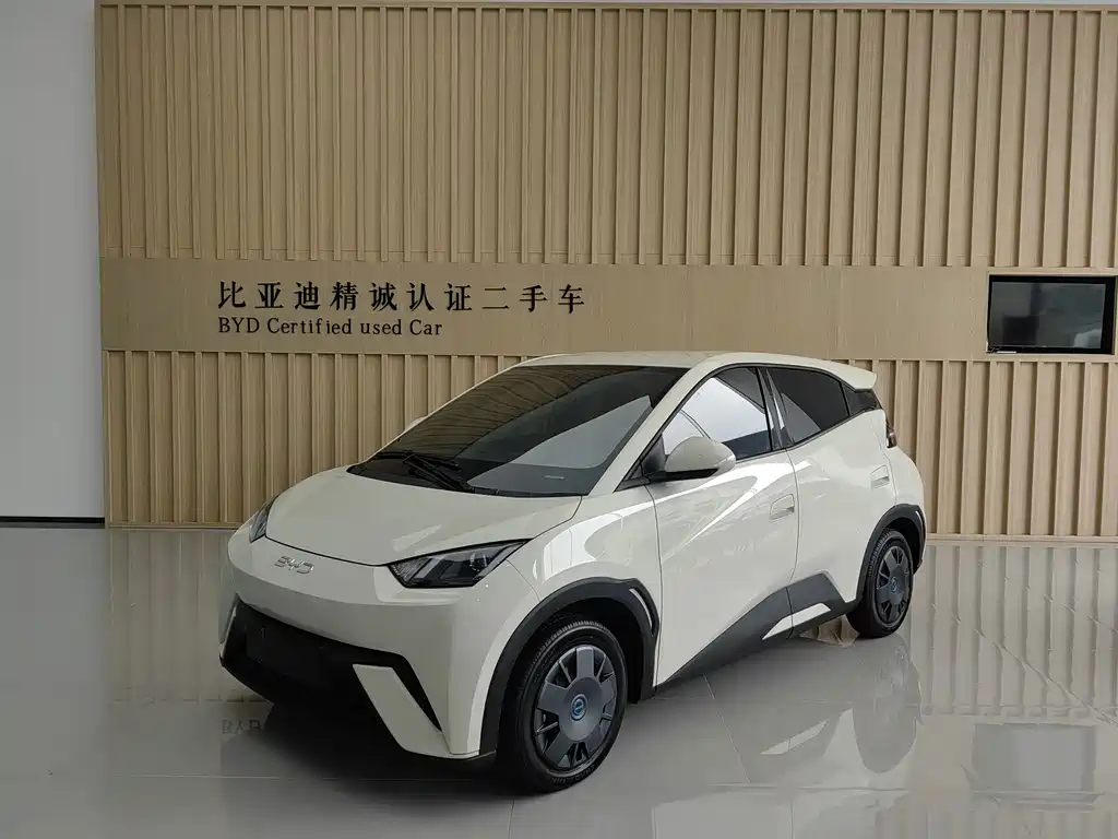 BYD Seagull 2025