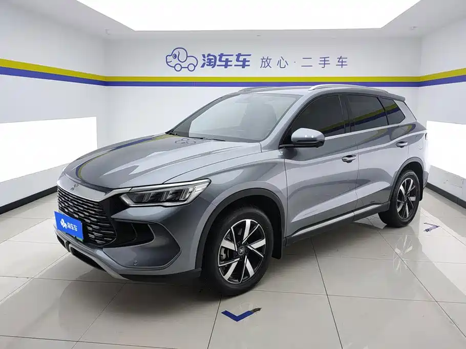 BYD Pro New Energy 2024