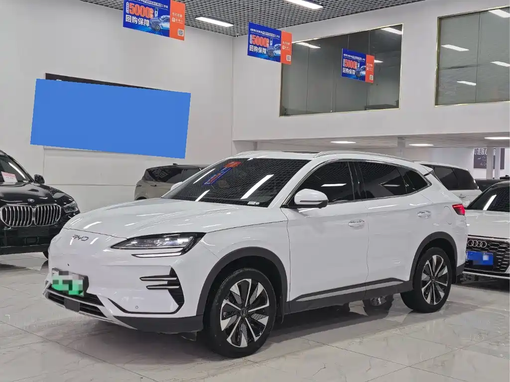 BYD PLUS New Energy 2024