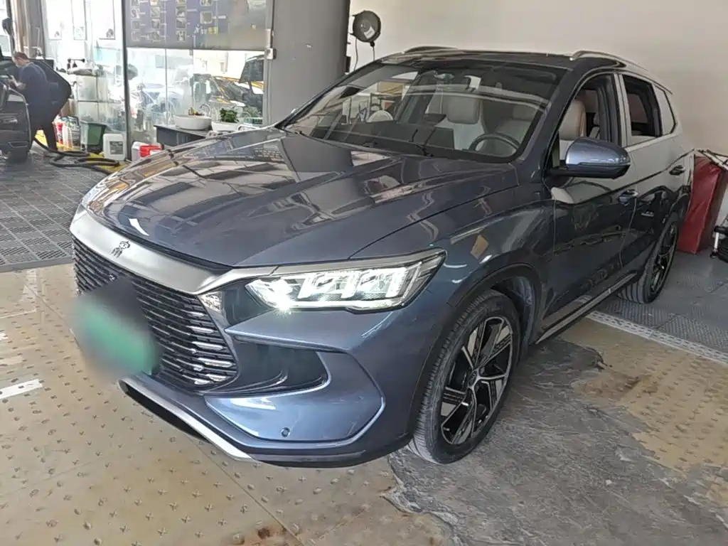BYD Pro New Energy 2024