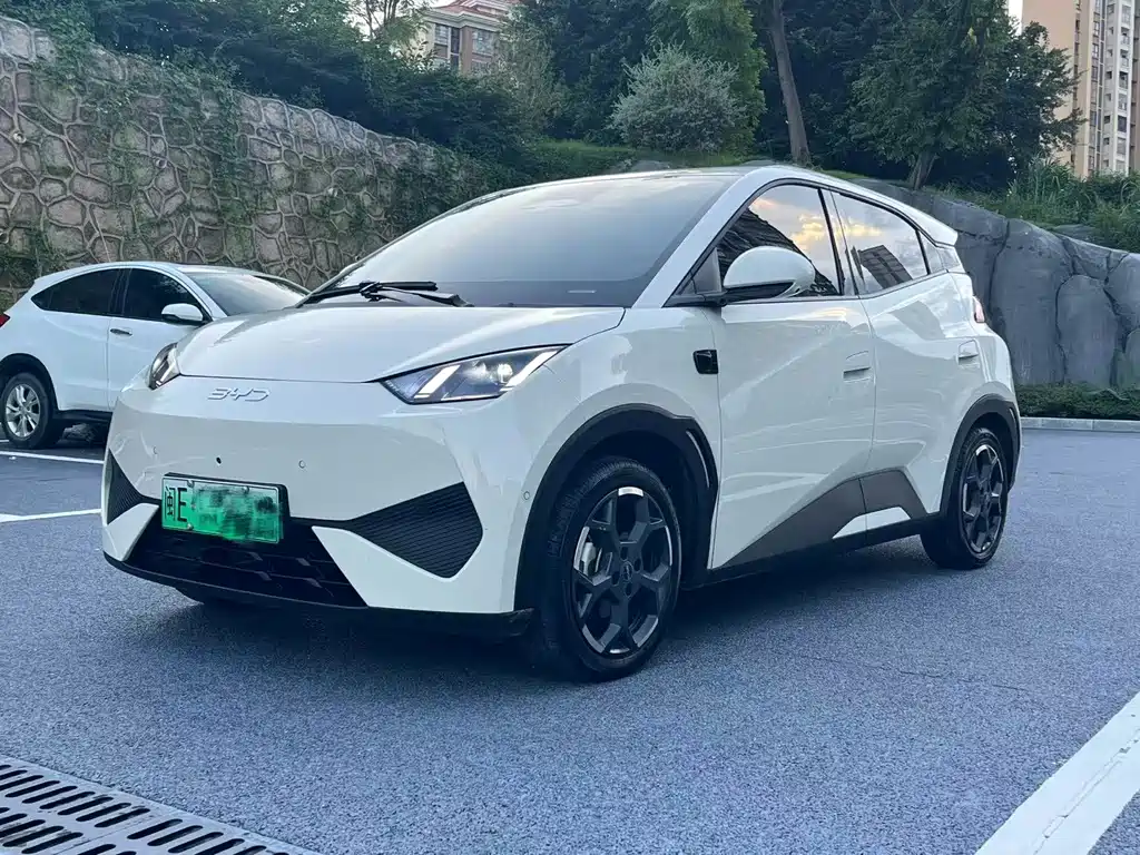 BYD Seagull 2025