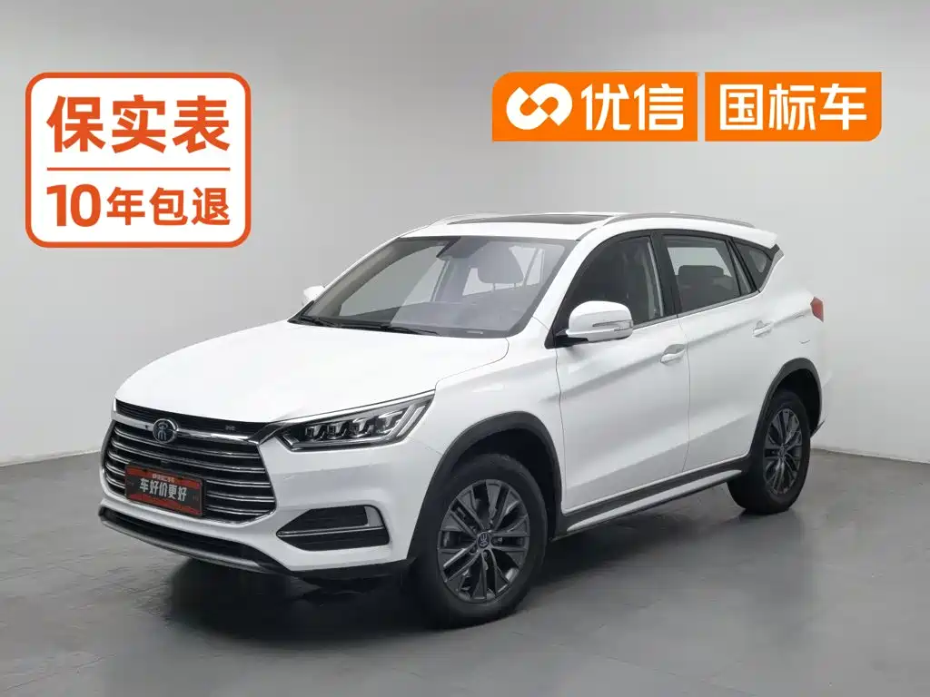 BYD New Energy 2019