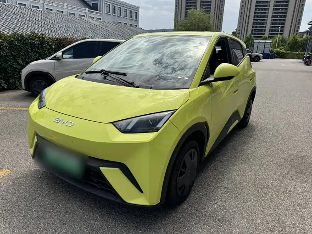 BYD Seagull 2024