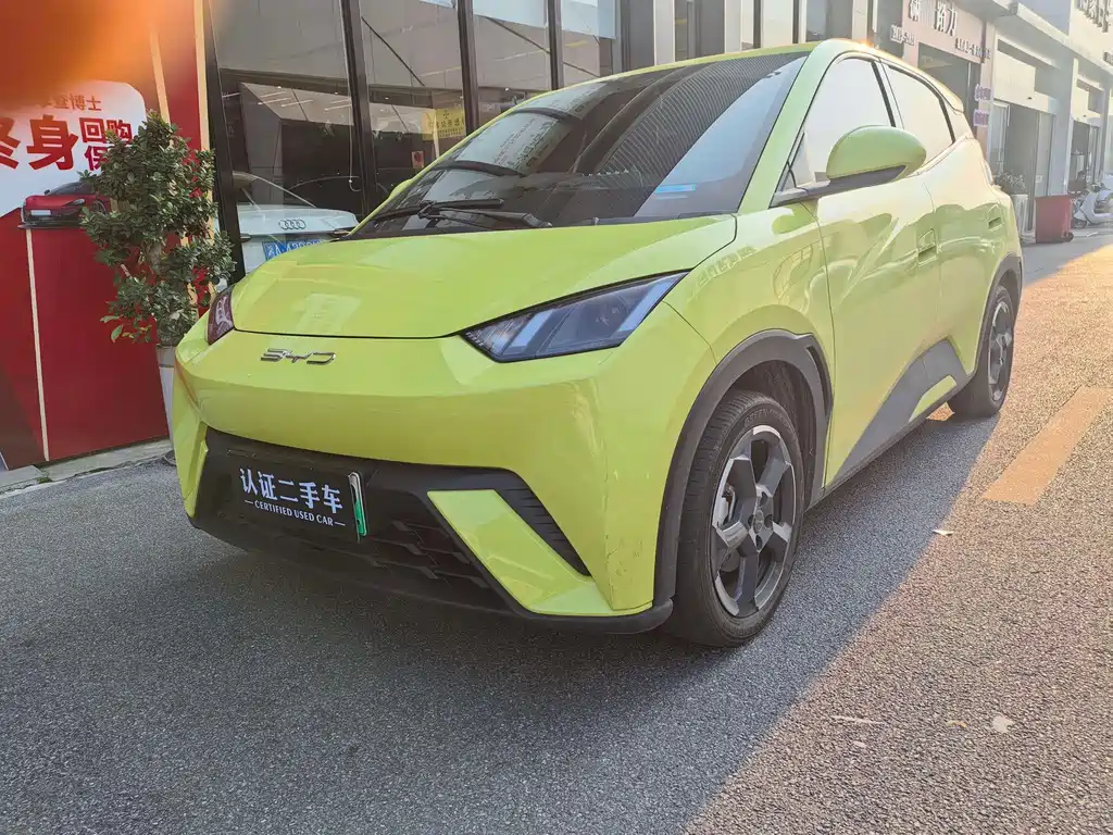 BYD Seagull 2024