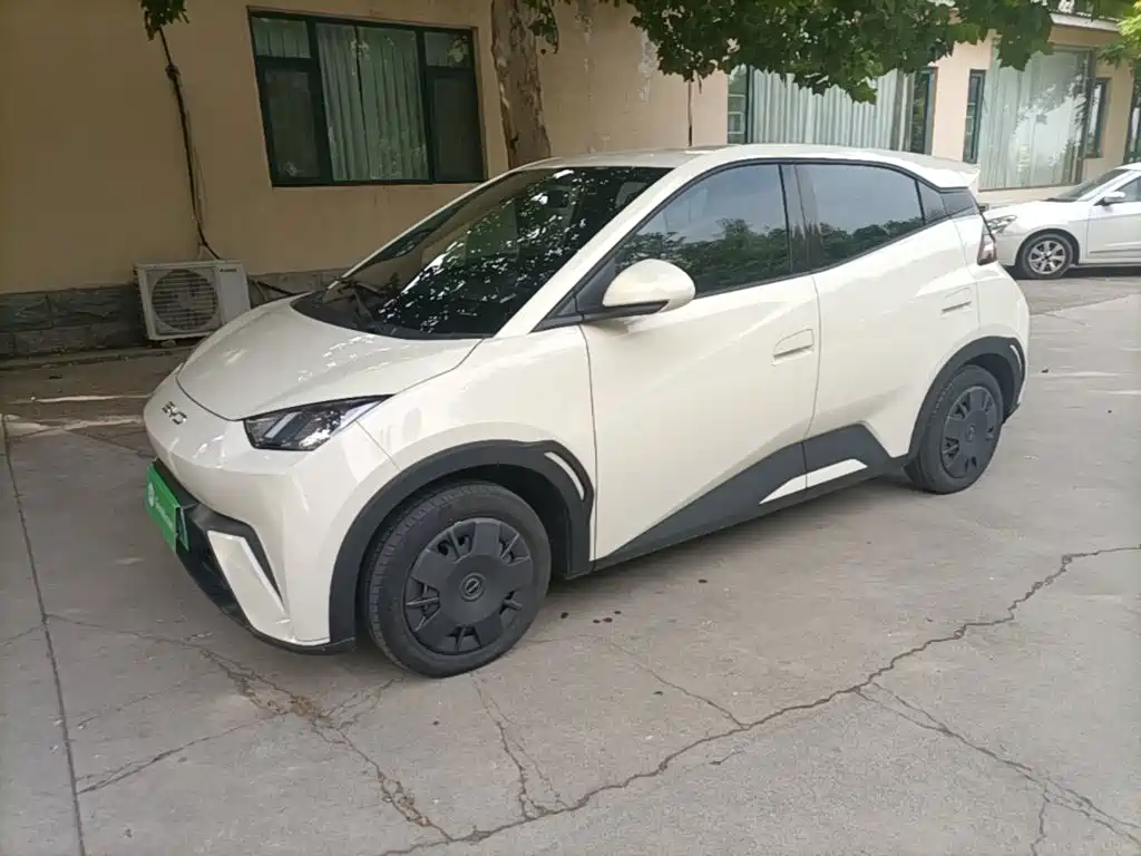 BYD Seagull 2024