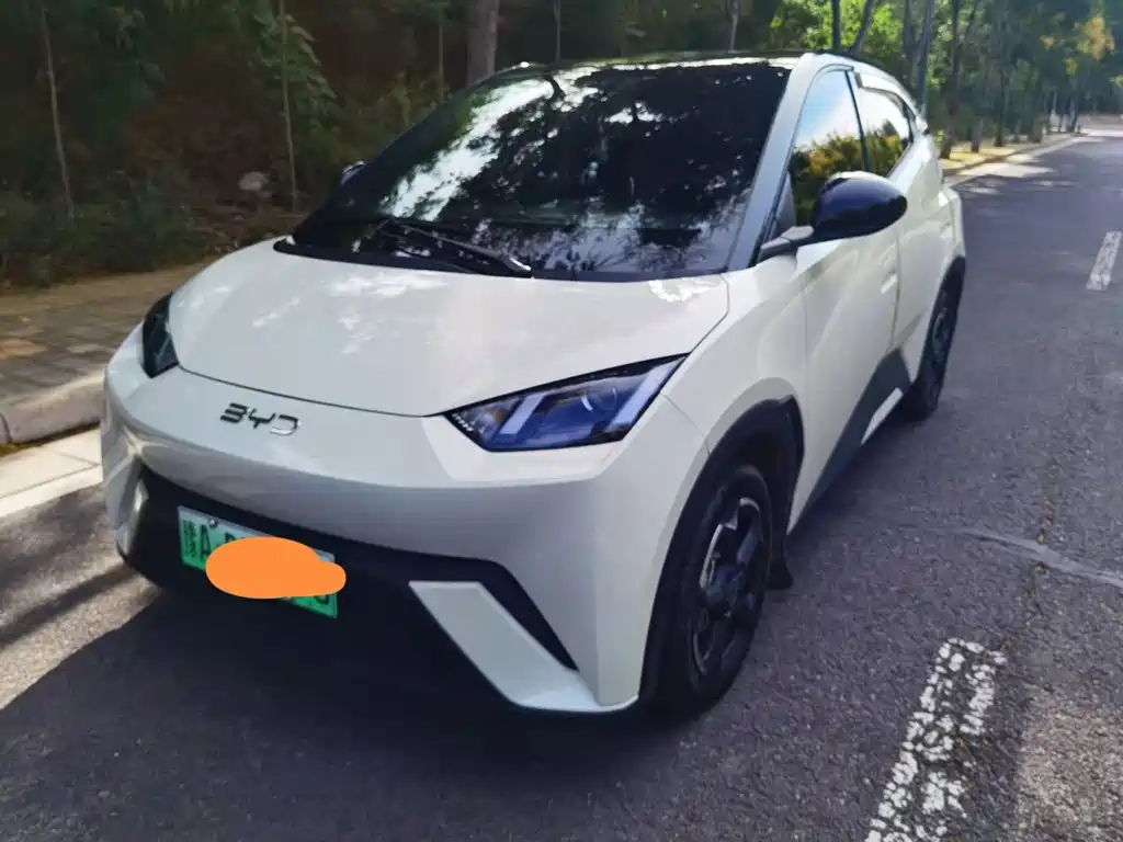 BYD Seagull 2025