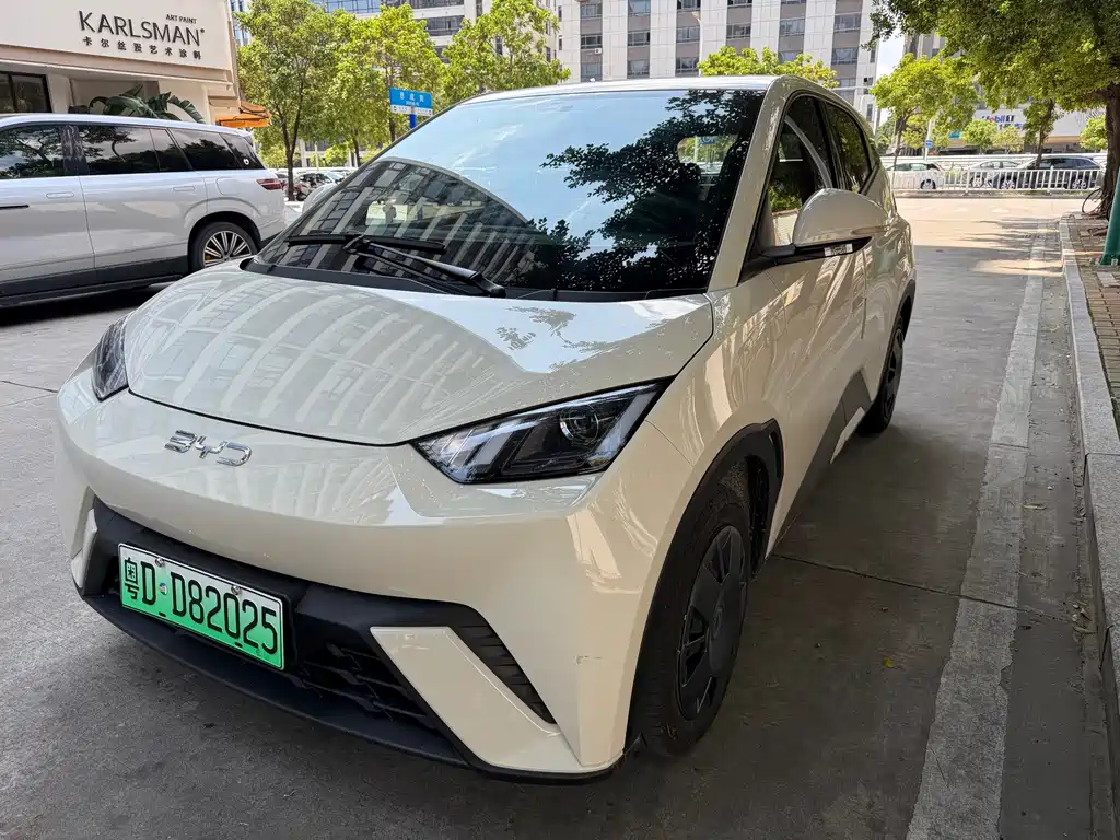 BYD Seagull 2025