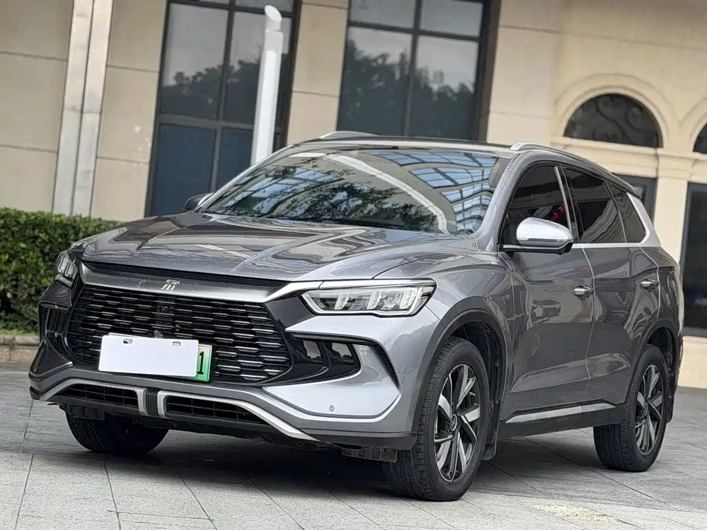 BYD Pro New Energy 2024