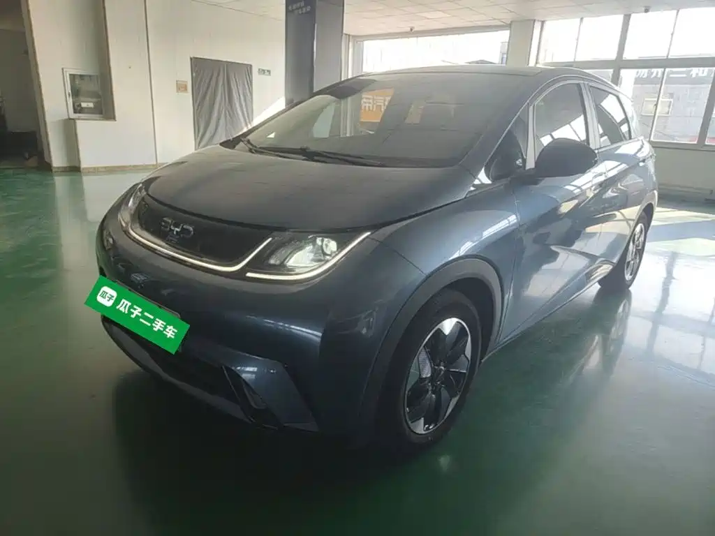 BYD Dolphin 2024