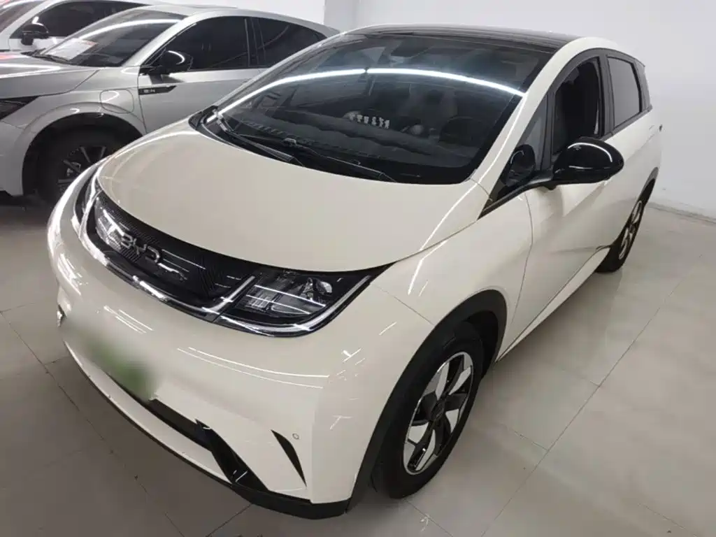 BYD Dolphin 2024