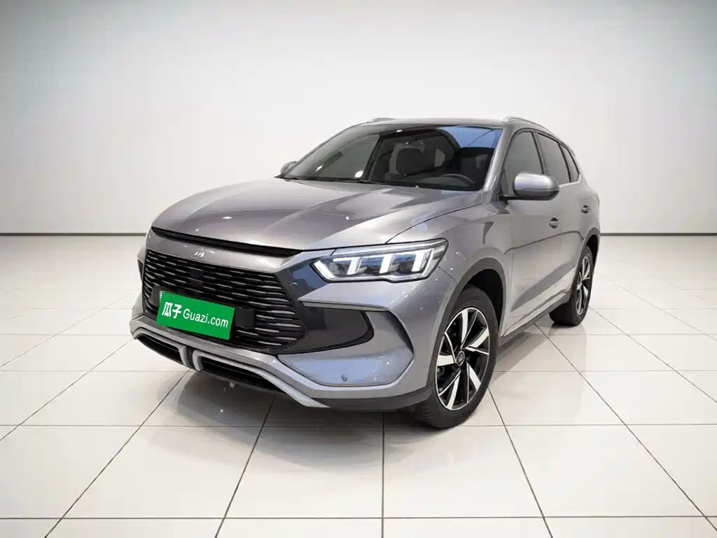 BYD Pro New Energy 2025