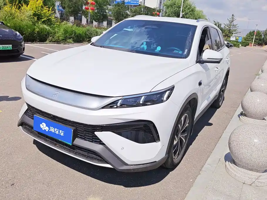BYD Pro New Energy 2025