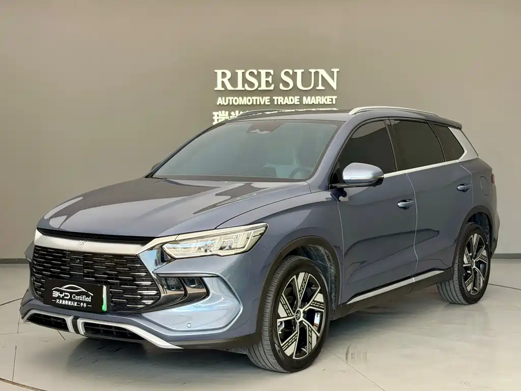 BYD Pro New Energy 2024