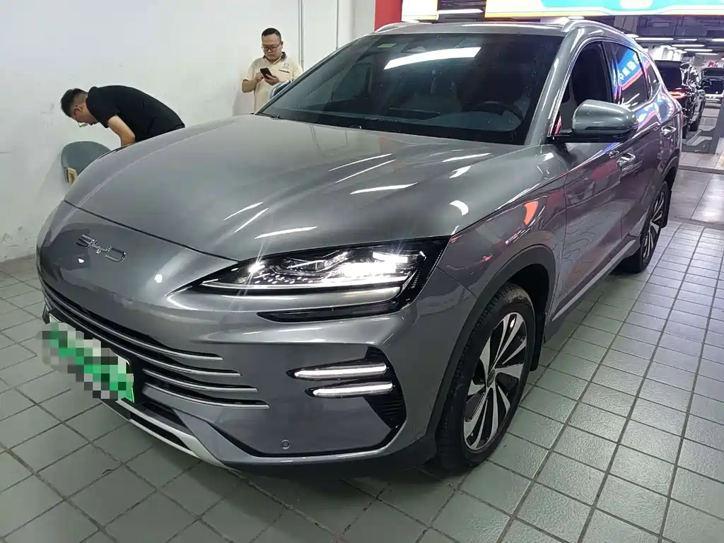 BYD PLUS New Energy 2024